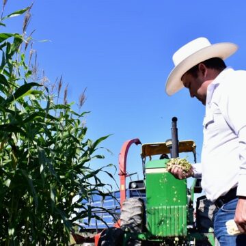 SRU-009-2019.-Desarrollo Rural apoyará proyectos que fomenten la cultura del ensilaje (3) Desarrollo Rural apoyará proyectos que fomenten la cultura del ensilaje.