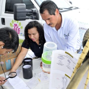Disminuyen en Tamaulipa los casos de dengue