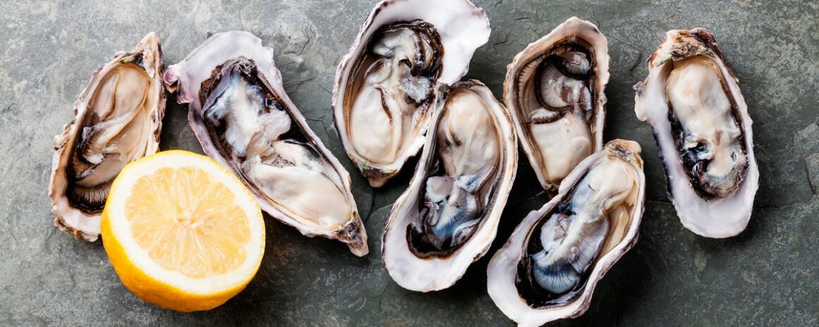 ostiones-mexico-deposit-1200 Fomenta Gobierno de Tamaulipas producción de ostión.