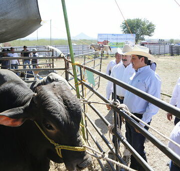 c3d4d95b44049e9d4e941dba34ffb86f826b1d9843dac9b1740bfe783f80017b Destinará Gobierno de Tamaulipas 30 mdp a Programa de Mejoramiento Genético Tam 2019