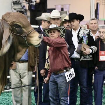 Entrega Gobernador premio en competencia internacional de ganado en Houston, Texas