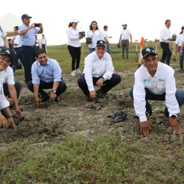TAMAULIPAS REFORESTA MANGLAR PARA COMBATIR EL CAMBIO CLIMÁTICO GLOBAL