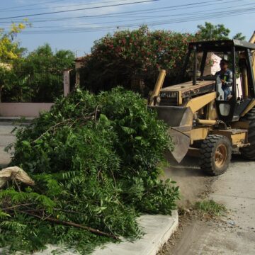 SDU-018-2019.-PARA CONTRIBUIR AL ESPARCIMIENTO, RESCATAN ESPACIOS PÚBLICOS (3) Para contribuir al esparcimiento, rescatan espacios públicos.