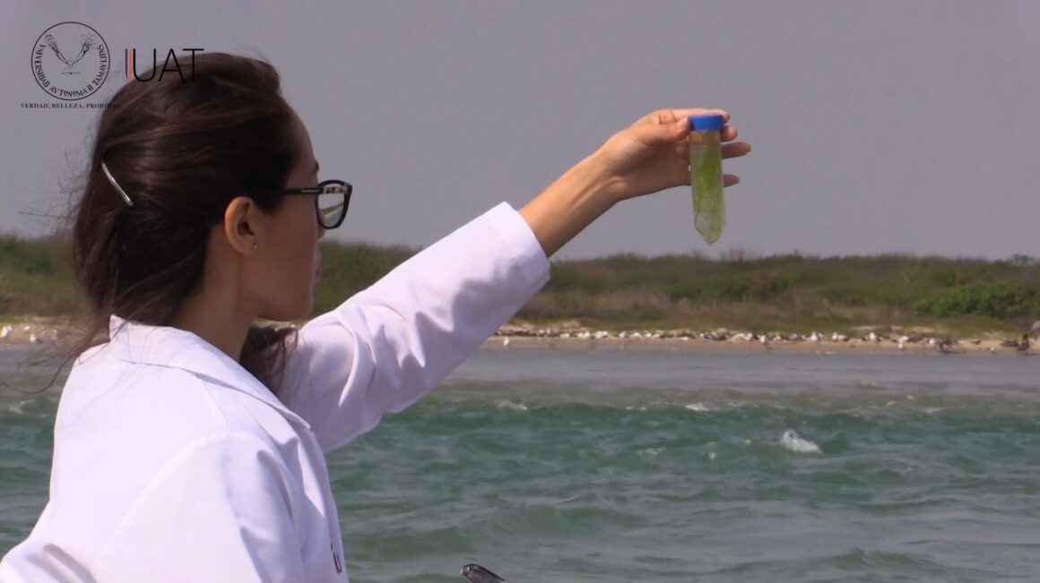 El estudio de la ciencia es por Tamaulipas (VIDEO) – UAT