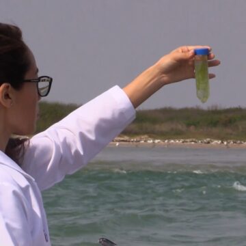 El estudio de la ciencia es por Tamaulipas (VIDEO) – UAT