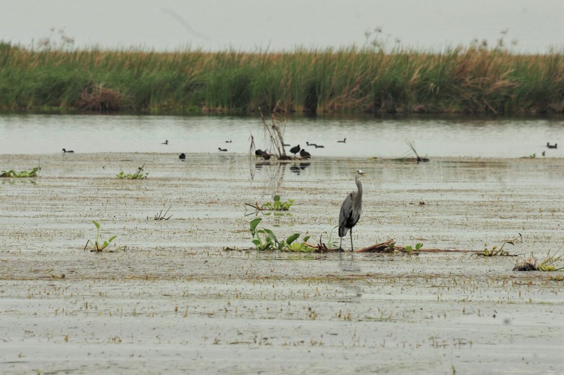 Exhorta Gobierno de Tamaulipas a municipios a construir plantas tratadoras de aguas residuales