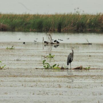 SDU-040-2019.-Exhorta Gobierno de Tamaulipas a municipios a construir plantas tratadoras de aguas residuales (3) Exhorta Gobierno de Tamaulipas a municipios a construir plantas tratadoras de aguas residuales