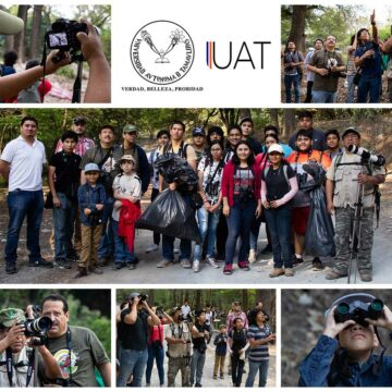 Fomenta la UAT observación de las aves en la región