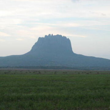 Protege gobierno de Tamaulipas las áreas naturales (ANPs)