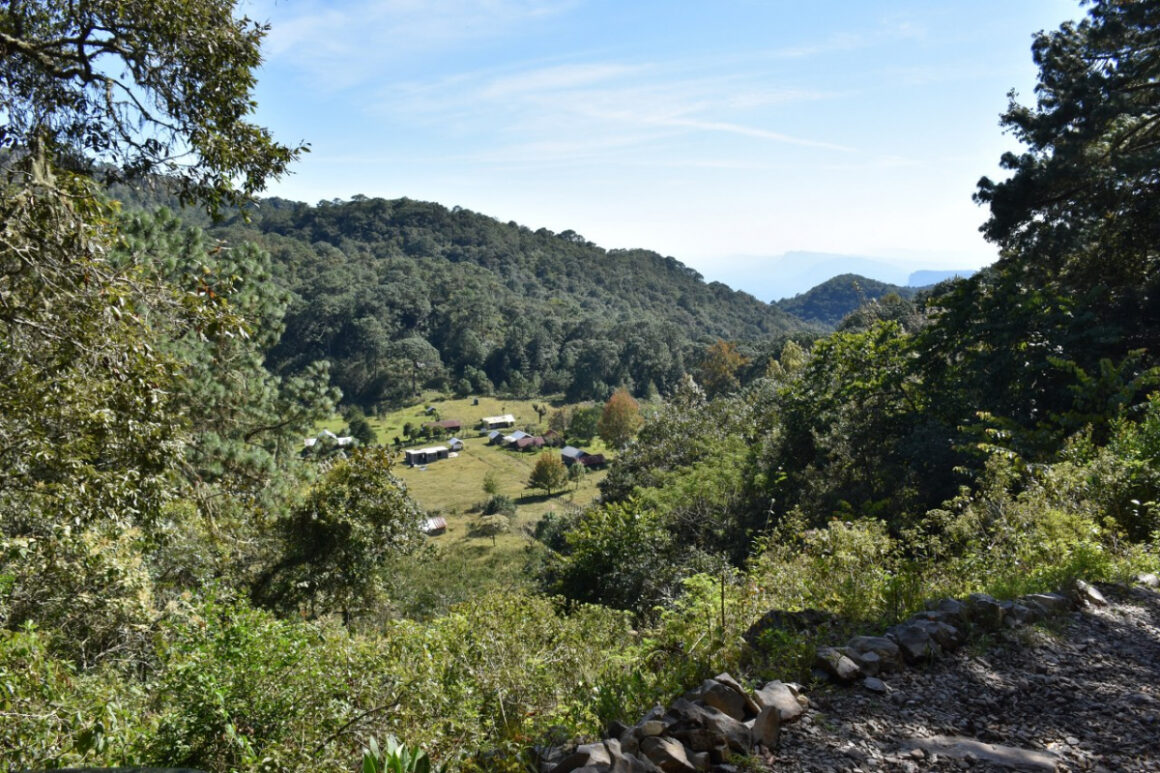 Esperan destinos de Tamaulipas 300 mil visitantes en próximo puente vacacional