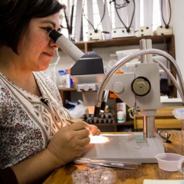 Colabora UAT en estudios para clasificar “ácaros” en Tamaulipas