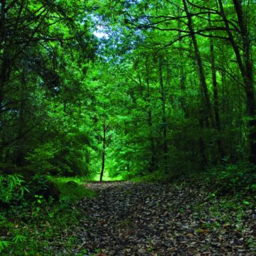 2-3 Valoran importancia del turismo social incluyente en Tamaulipas