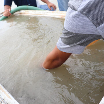 Impulsa Gobierno de Tamaulipas producción de tilapia en presa Falcón