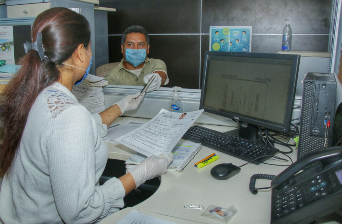Suman doscientos cincuenta y uno tamaulipecos laborando en granjas de Canadá