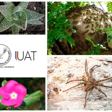 foto_5_dr_arturo_mora_31_05_2020_(2) Recomiendan expertos ayudar a la naturaleza durante el confinamiento