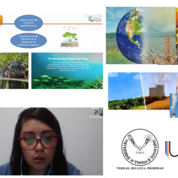 Estudian efecto del calentamiento global en zona de manglar de la Laguna Madre