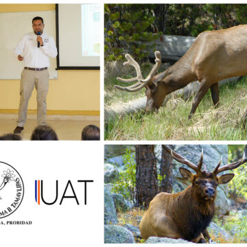 Analizan impacto del “wapití” en la biodiversidad tamaulipeca