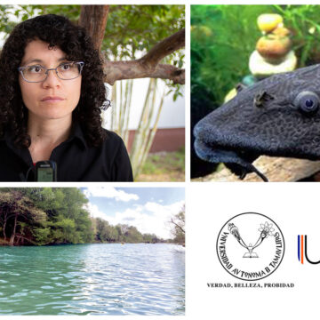 Medirán impacto ecológico de peces invasores en ríos de Tamaulipas