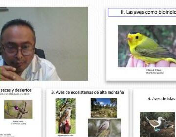 Analiza UAT el impacto del cambio climático en especies de aves