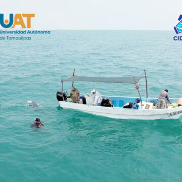 Descubre UAT Arrecife Rocoso Sumergido en la costa sur de Tamaulipas.