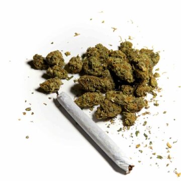 ¿El cannabis tiene fecha de caducidad? Podría provocar problemas de salud