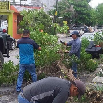 WhatsApp-Image-2022-10-20-at-8.01.59-PM Gobierno municipal intensifica trabajos de rehabilitación y embellecimiento de la ciudad