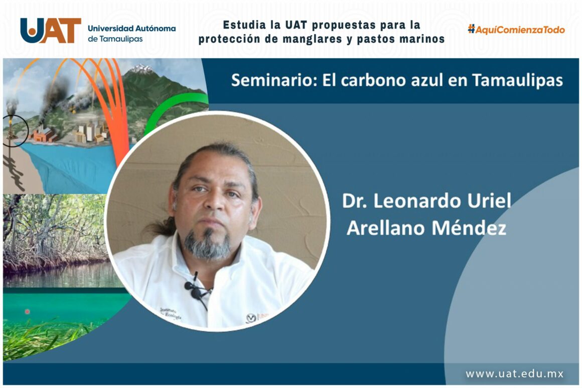 6 (2) Estudia la UAT propuestas para la protección de manglares y pastos marinos