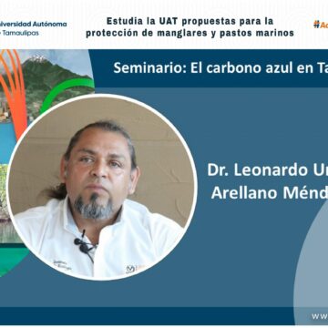 Estudia la UAT propuestas para la protección de manglares y pastos marinos