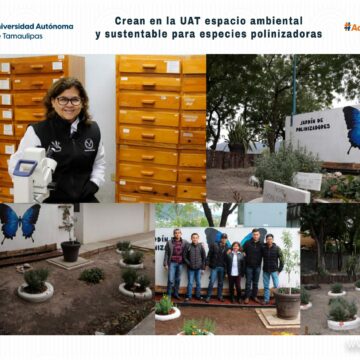 Crean en la UAT espacio ambiental y sustentable para especies polinizadoras