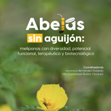 Explora la UAT potencial terapéutico y biotecnológico de abejas sin aguijón