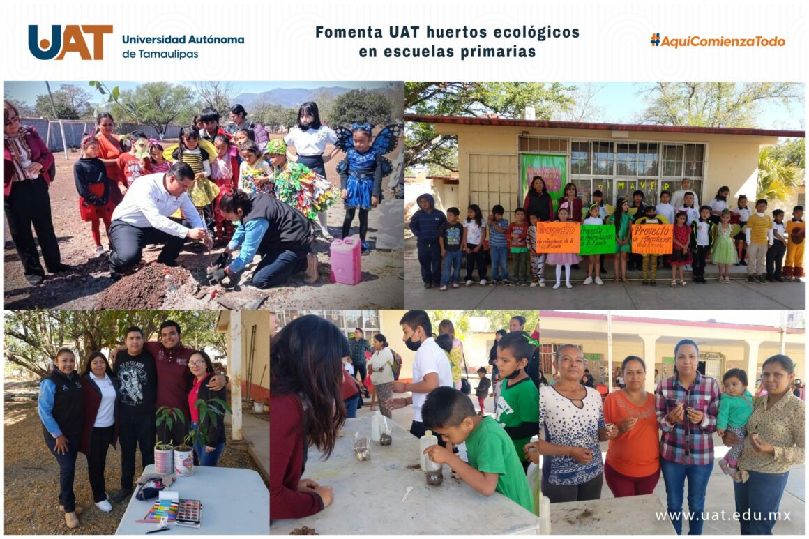 Fomenta UAT huertos ecológicos en escuelas primarias