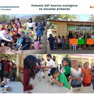 Fomenta UAT huertos ecológicos en escuelas primarias
