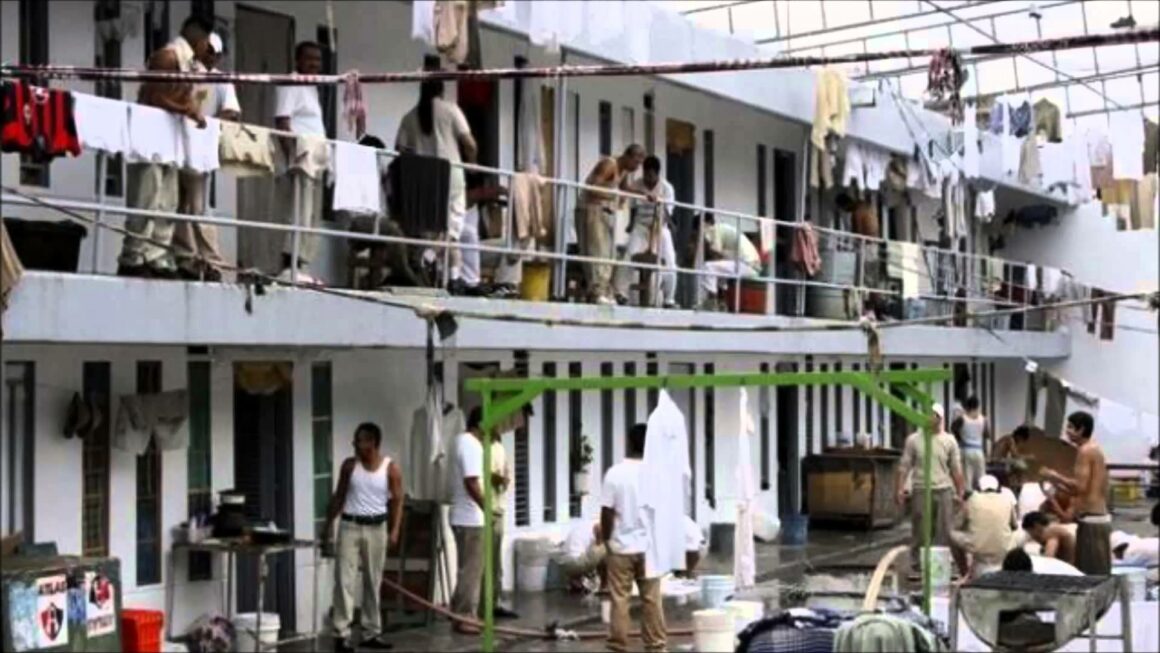 Magis-451-sensus-derecho_1 En total, han quedado en libertad 5 mil 791 personas que permanecían en centros penitenciarios en México