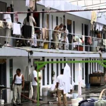 Magis-451-sensus-derecho_1 En total, han quedado en libertad 5 mil 791 personas que permanecían en centros penitenciarios en México