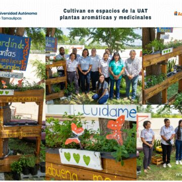 Cultivan en espacios de la UAT plantas aromáticas y medicinales