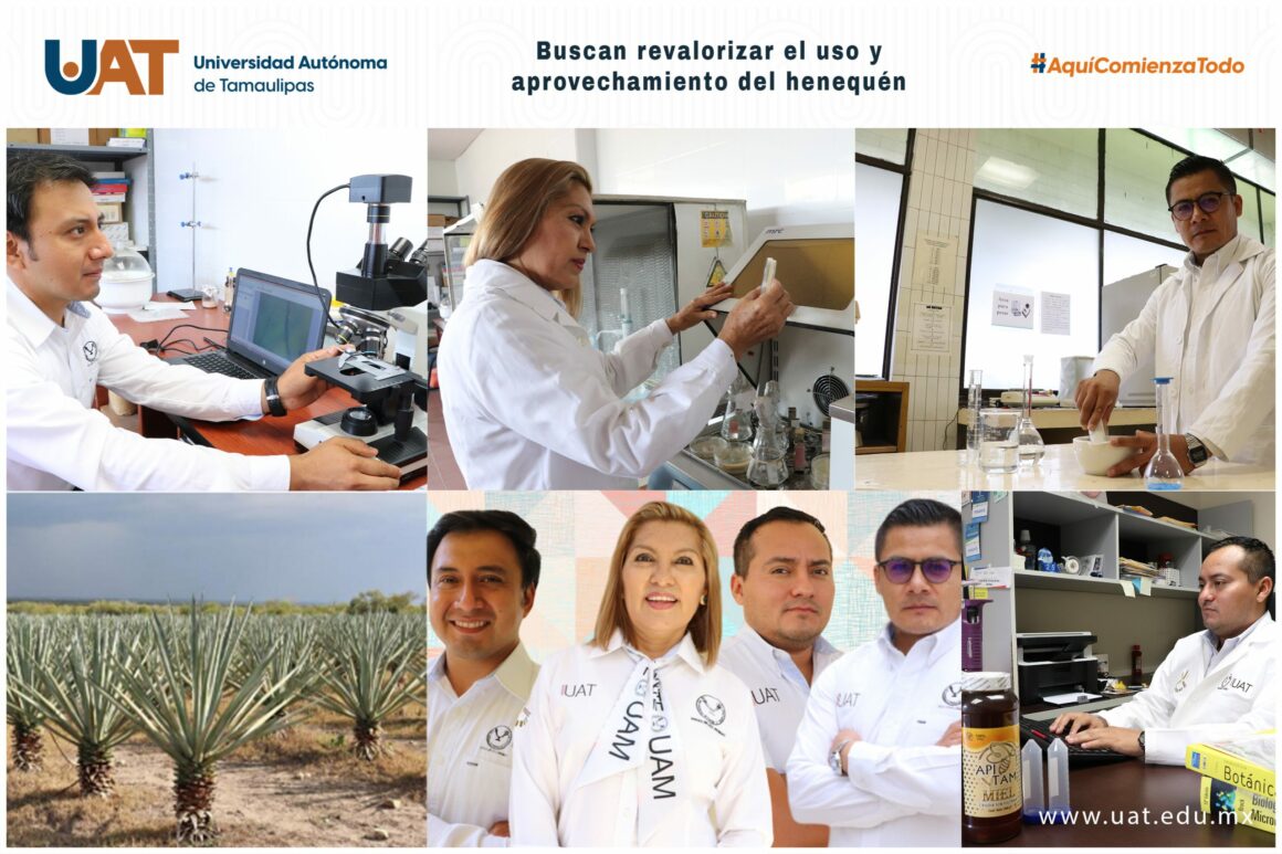 viernes (1) Buscan revalorizar el uso y aprovechamiento integral del henequén
