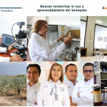 viernes (1) Buscan revalorizar el uso y aprovechamiento integral del henequén