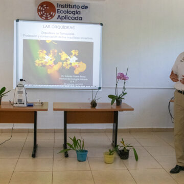 4-11 Promueve UAT el cultivo y conservación de orquídeas