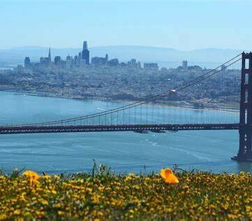 Limpian San Francisco de vagabundos por visita de mandatarios a la APEC