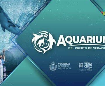 OIP (3) Qué trae la modernización del Aquarium del Puerto de Veracruz