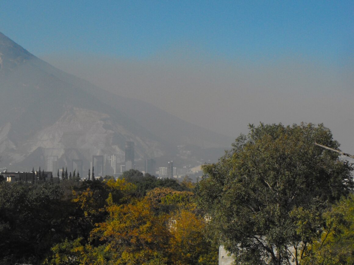 4 Estudia la UAT el impacto de la urbanización y contaminación en la vegetación en México