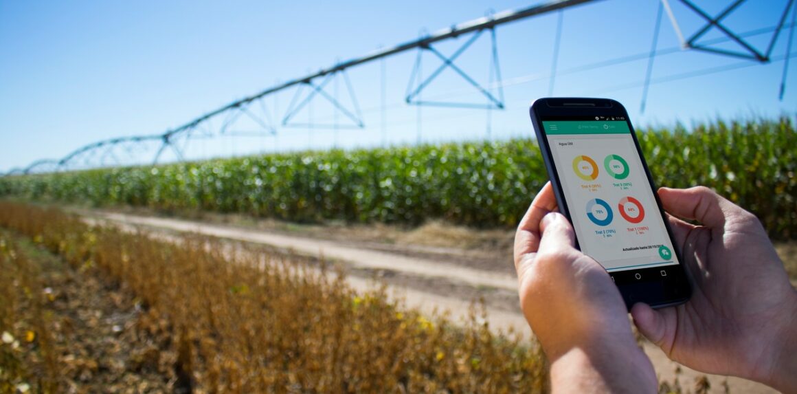 BJwIVYGpf_1256x620__1 Internet satelital, la tecnología que fortalece la resiliencia de comunidades rurales