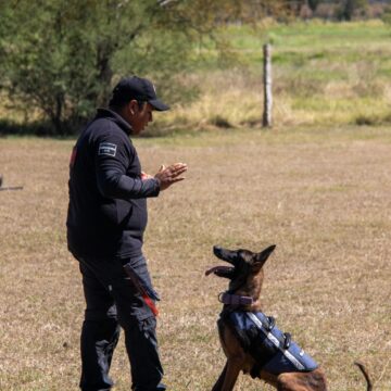 Estudiante de la UAT aporta su experiencia en adiestramiento canino al servicio comunitario