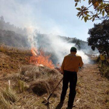 Incendios forestales en aumento, crisis climática impacta en el Edomex