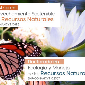 Convoca la UAT a cursar posgrados en áreas de ecología y recursos naturales