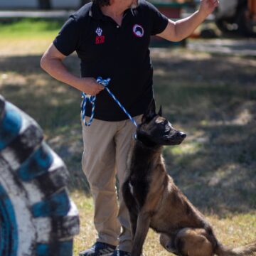 2p Implementa la UAT cursos de adiestramiento canino