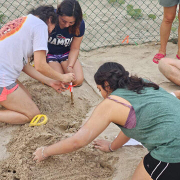 Colabora la UAT en el proyecto de conservación de la tortuga lora