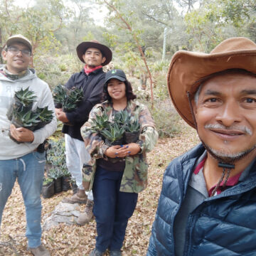 Busca la UAT preservar la genética de especies de maguey