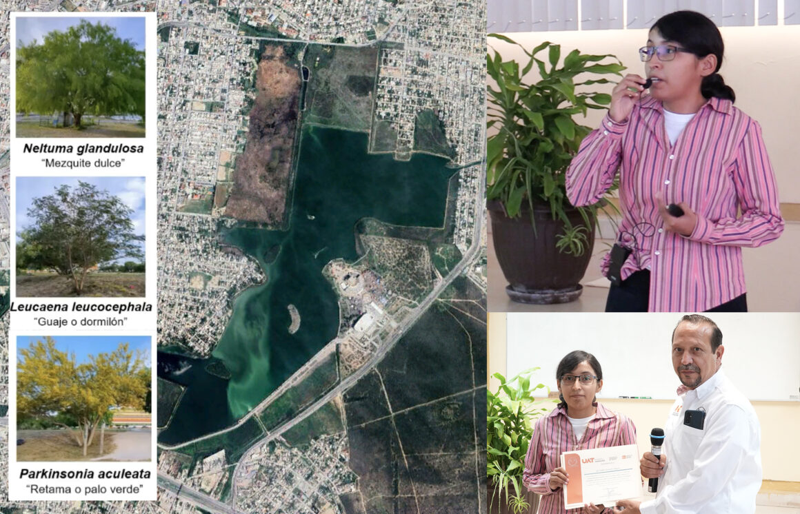 Screenshot Analiza la UAT el uso de plantas nativas para recuperar suelos contaminados