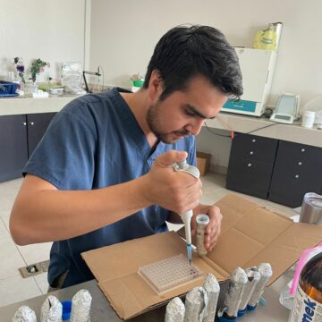 Desarrolla UAT bioinsecticida para combatir plagas que afectan la apicultura